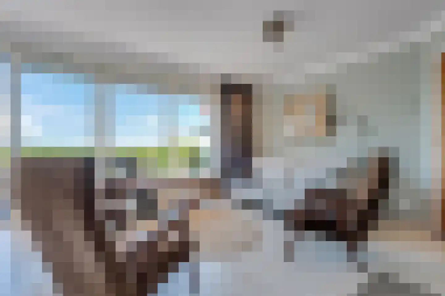 Veneweg 328 Wanneperveen thumbnail 46