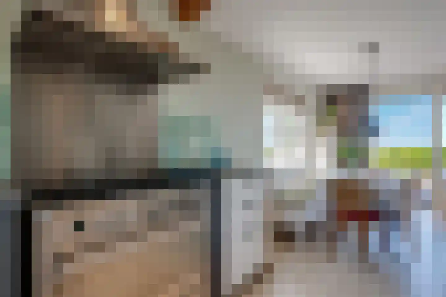 Veneweg 328 Wanneperveen thumbnail 58