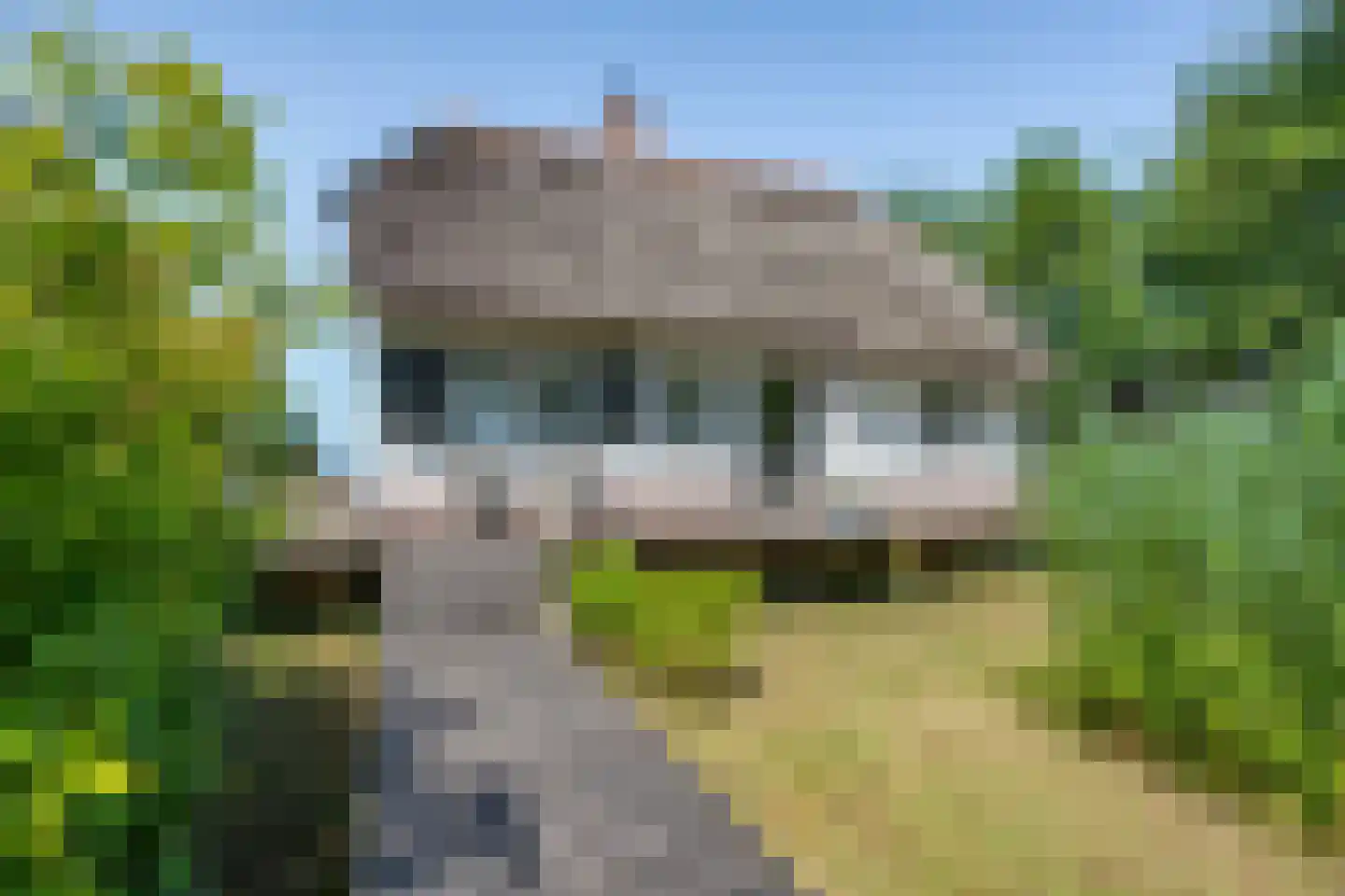Veneweg 328 Wanneperveen thumbnail 6