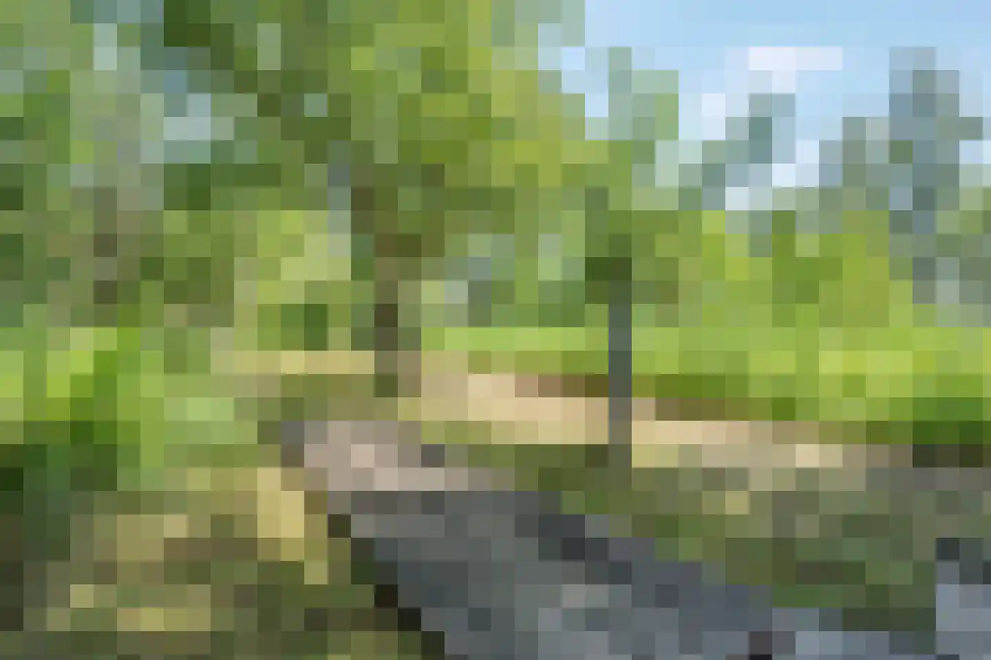 Veneweg 328 Wanneperveen thumbnail 8