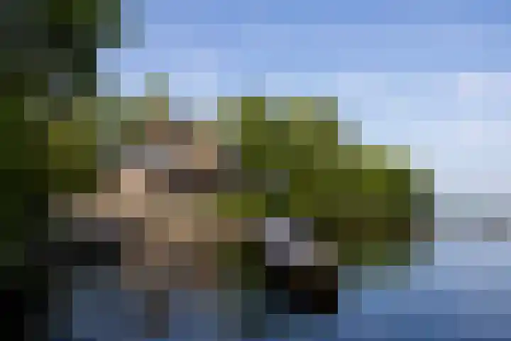 Veneweg 332 Wanneperveen thumbnail 12