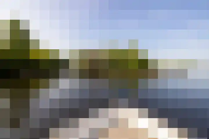 Veneweg 332 Wanneperveen thumbnail 13