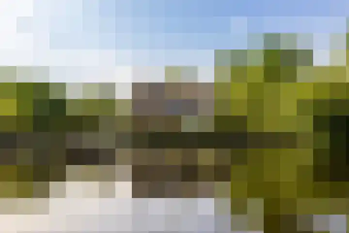 Veneweg 332 Wanneperveen thumbnail 14
