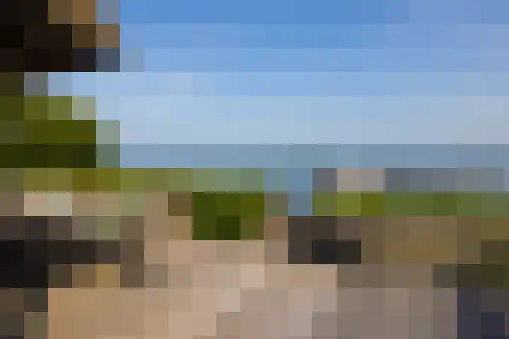 Veneweg 332 Wanneperveen thumbnail 15