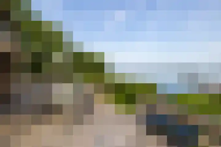 Veneweg 332 Wanneperveen thumbnail 16