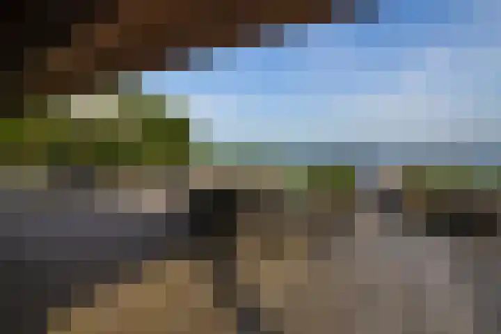 Veneweg 332 Wanneperveen thumbnail 17