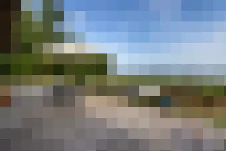Veneweg 332 Wanneperveen thumbnail 18