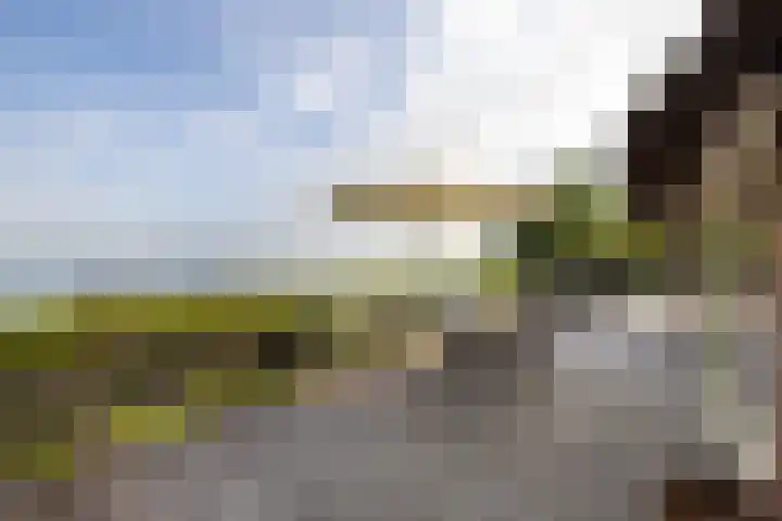 Veneweg 332 Wanneperveen thumbnail 19