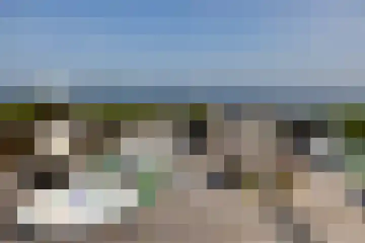 Veneweg 332 Wanneperveen thumbnail 22