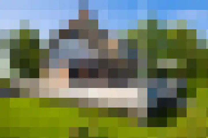 Veneweg 332 Wanneperveen thumbnail 24