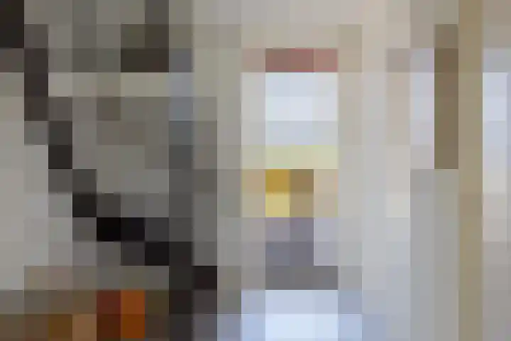 Veneweg 332 Wanneperveen thumbnail 37