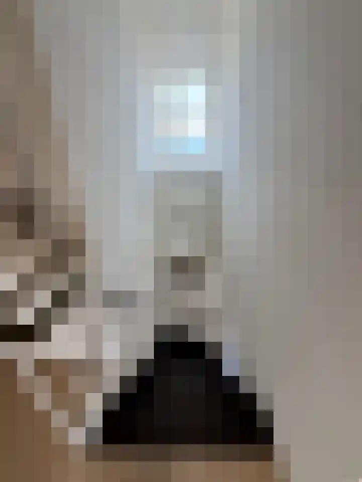 Veneweg 332 Wanneperveen thumbnail 38
