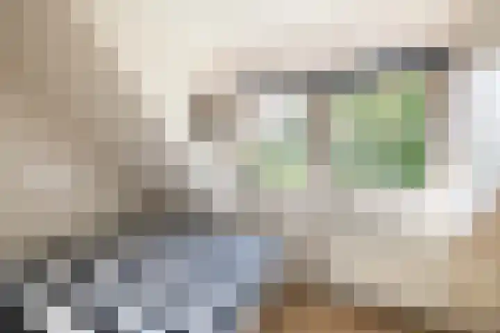 Veneweg 332 Wanneperveen thumbnail 40