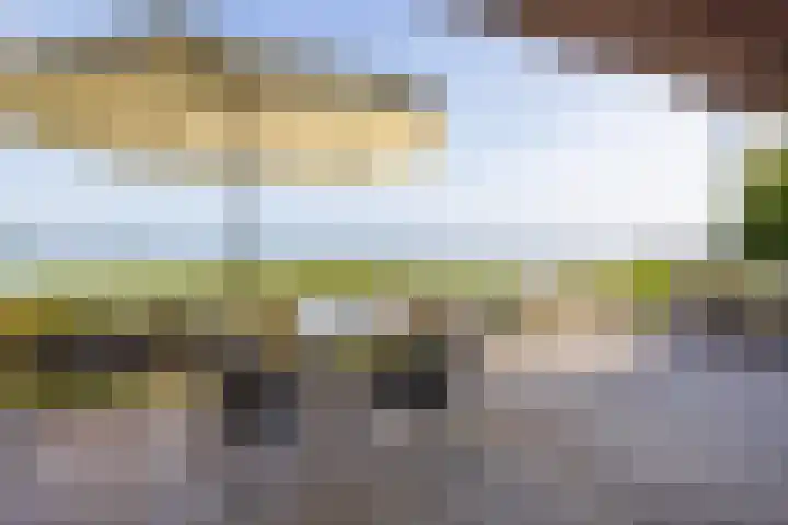 Veneweg 332 Wanneperveen thumbnail 49
