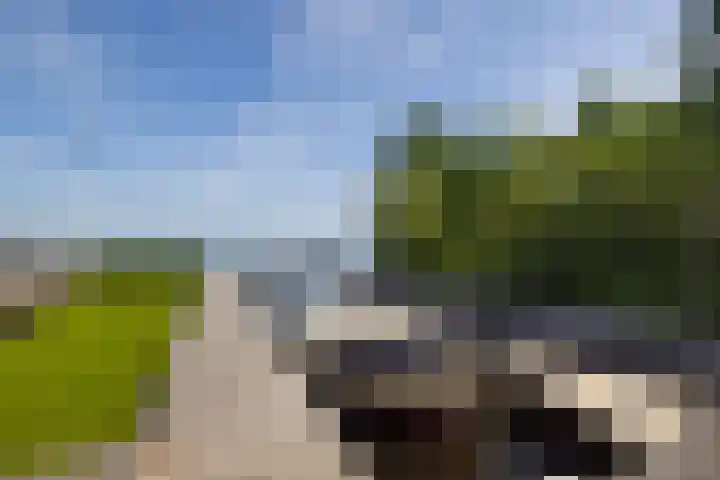 Veneweg 332 Wanneperveen thumbnail 51