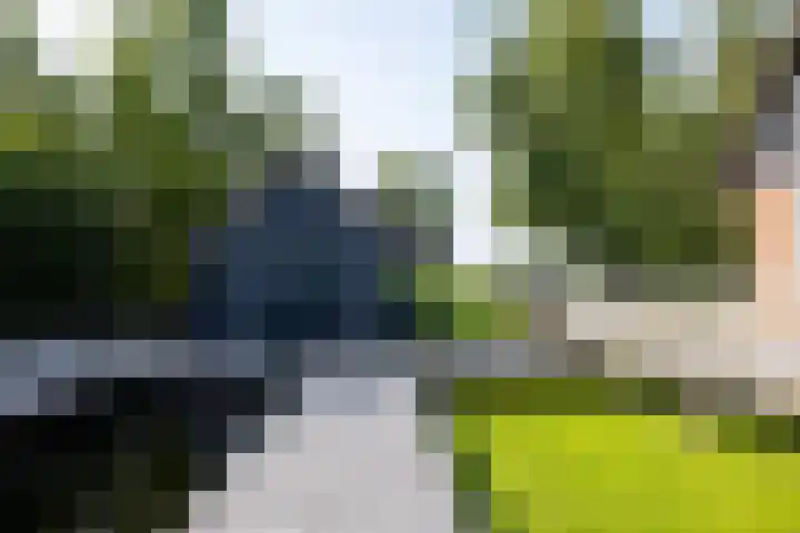 Veneweg 332 Wanneperveen thumbnail 53