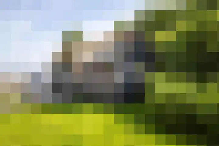 Veneweg 332 Wanneperveen thumbnail 56