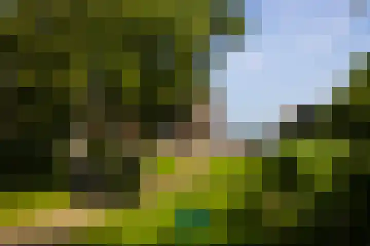 Veneweg 332 Wanneperveen thumbnail 57