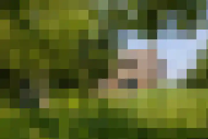 Veneweg 332 Wanneperveen thumbnail 58