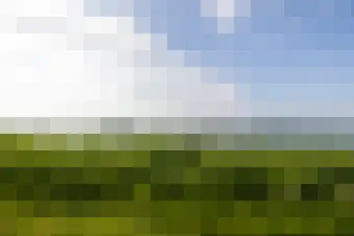 Veneweg 332 Wanneperveen thumbnail 59