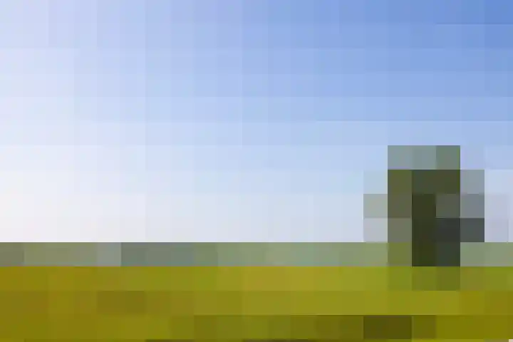 Veneweg 332 Wanneperveen thumbnail 6