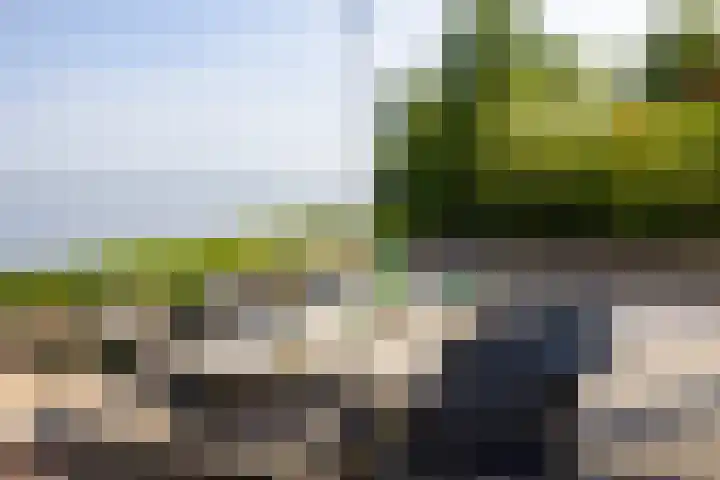 Veneweg 332 Wanneperveen thumbnail 60