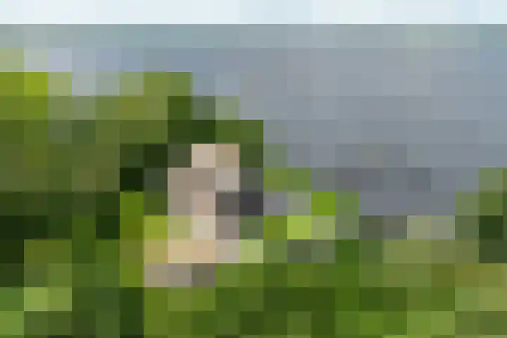 Veneweg 332 Wanneperveen thumbnail 63