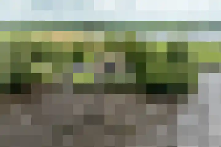 Veneweg 332 Wanneperveen thumbnail 65