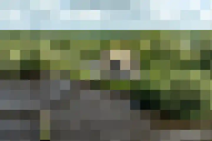 Veneweg 332 Wanneperveen thumbnail 66