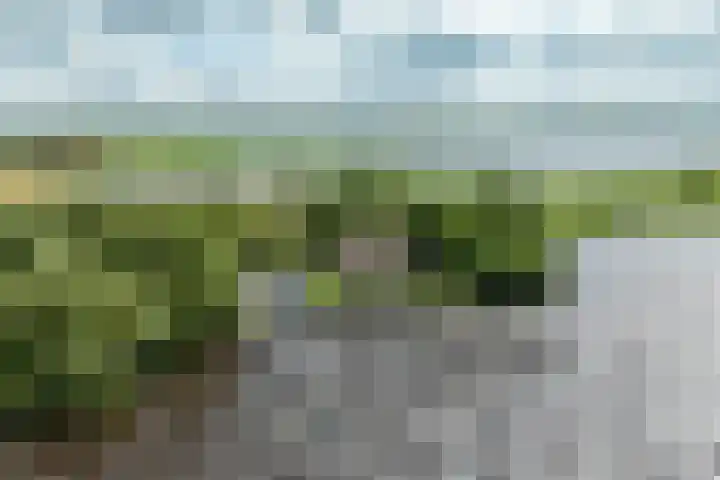 Veneweg 332 Wanneperveen thumbnail 67