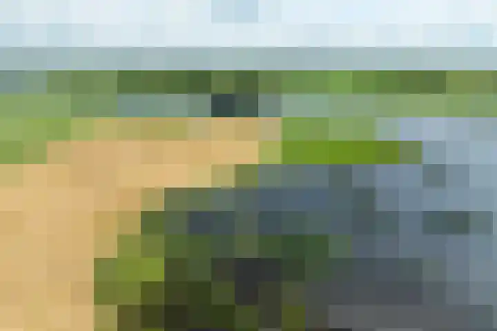 Veneweg 332 Wanneperveen thumbnail 68