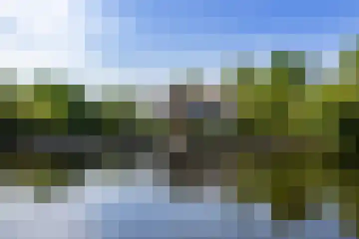 Veneweg 332 Wanneperveen thumbnail 7
