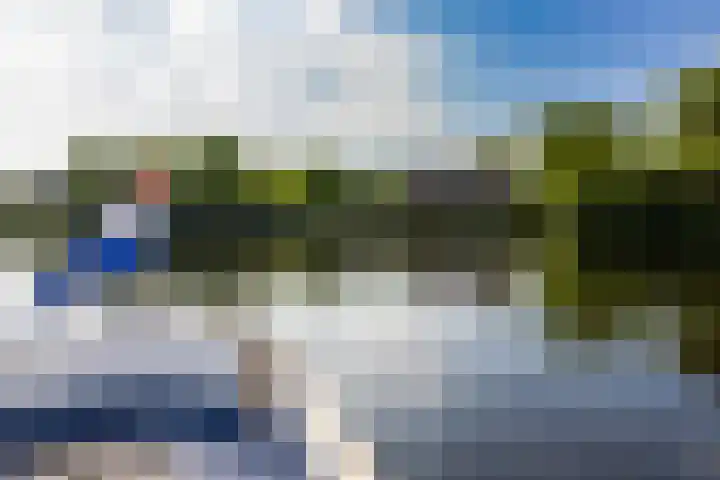 Veneweg 332 Wanneperveen thumbnail 8