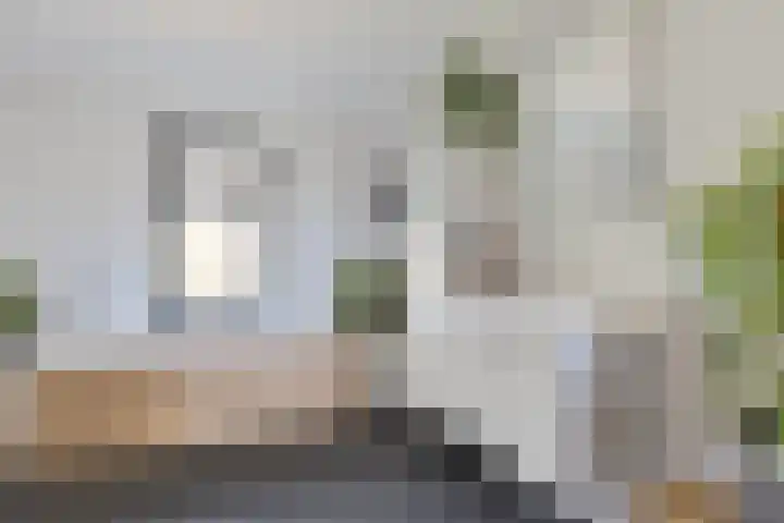 Veneweg 52 Wanneperveen thumbnail 29