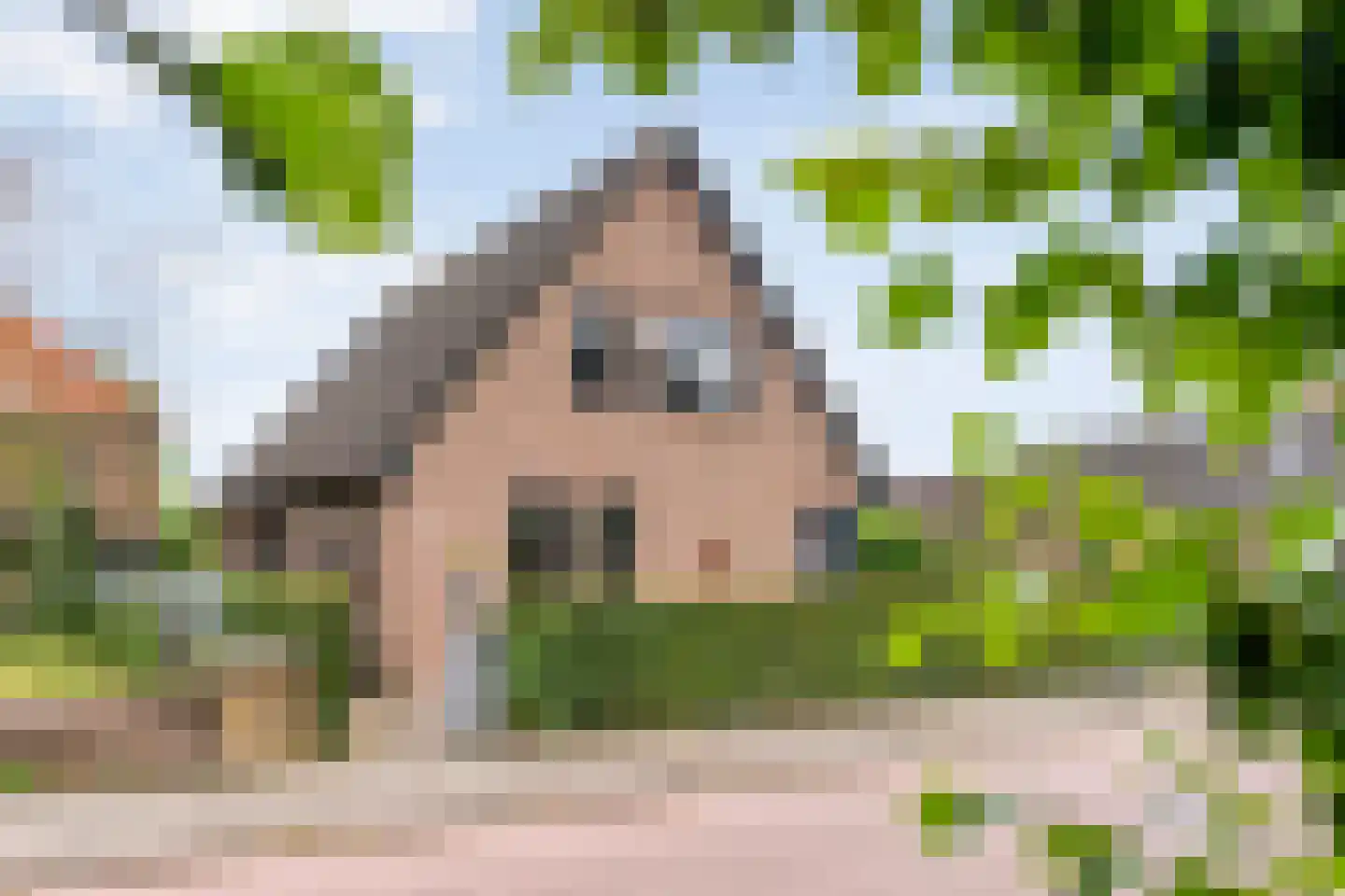 Veneweg 69 Wanneperveen
