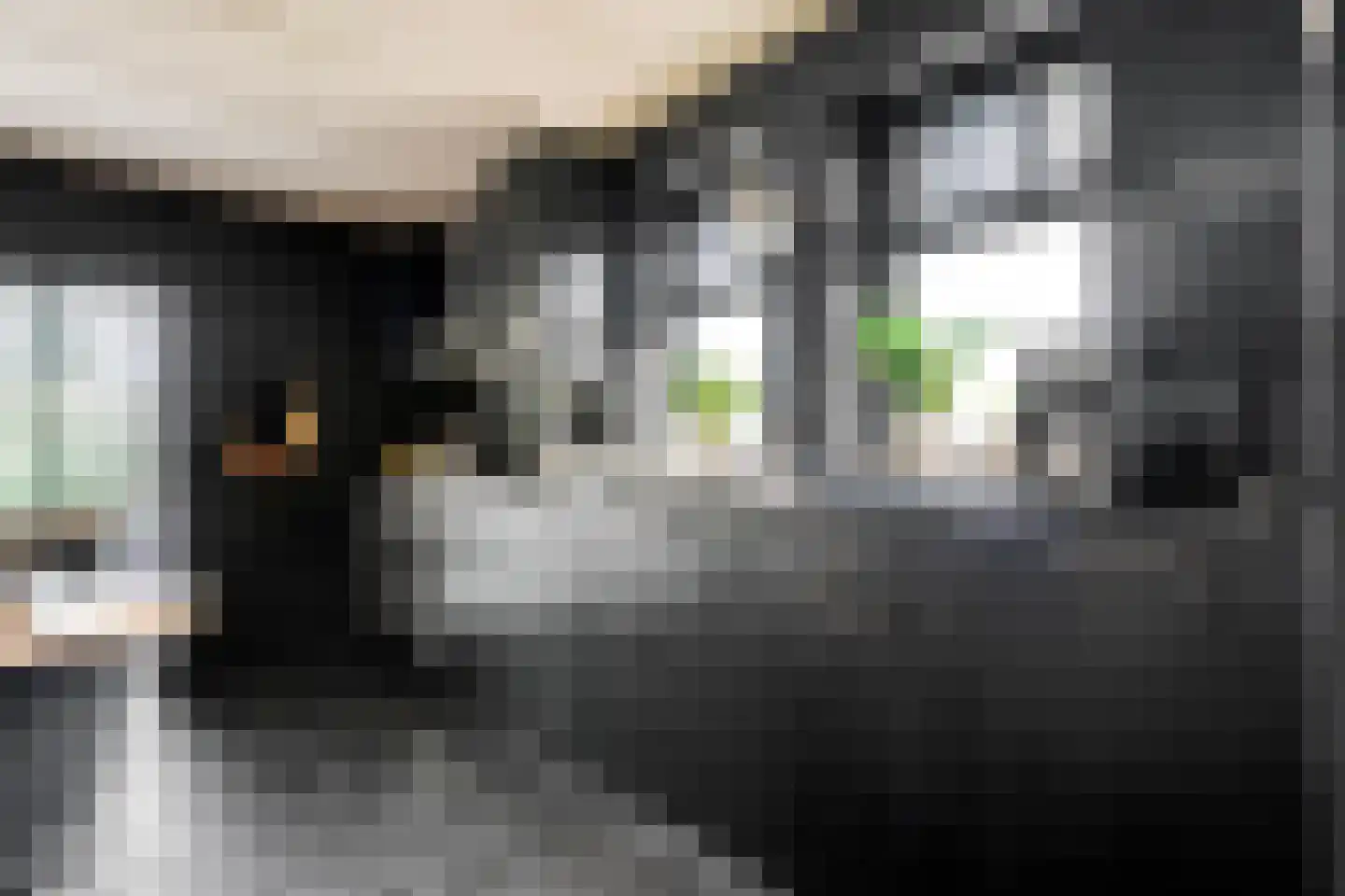 Veneweg 69 Wanneperveen thumbnail 12