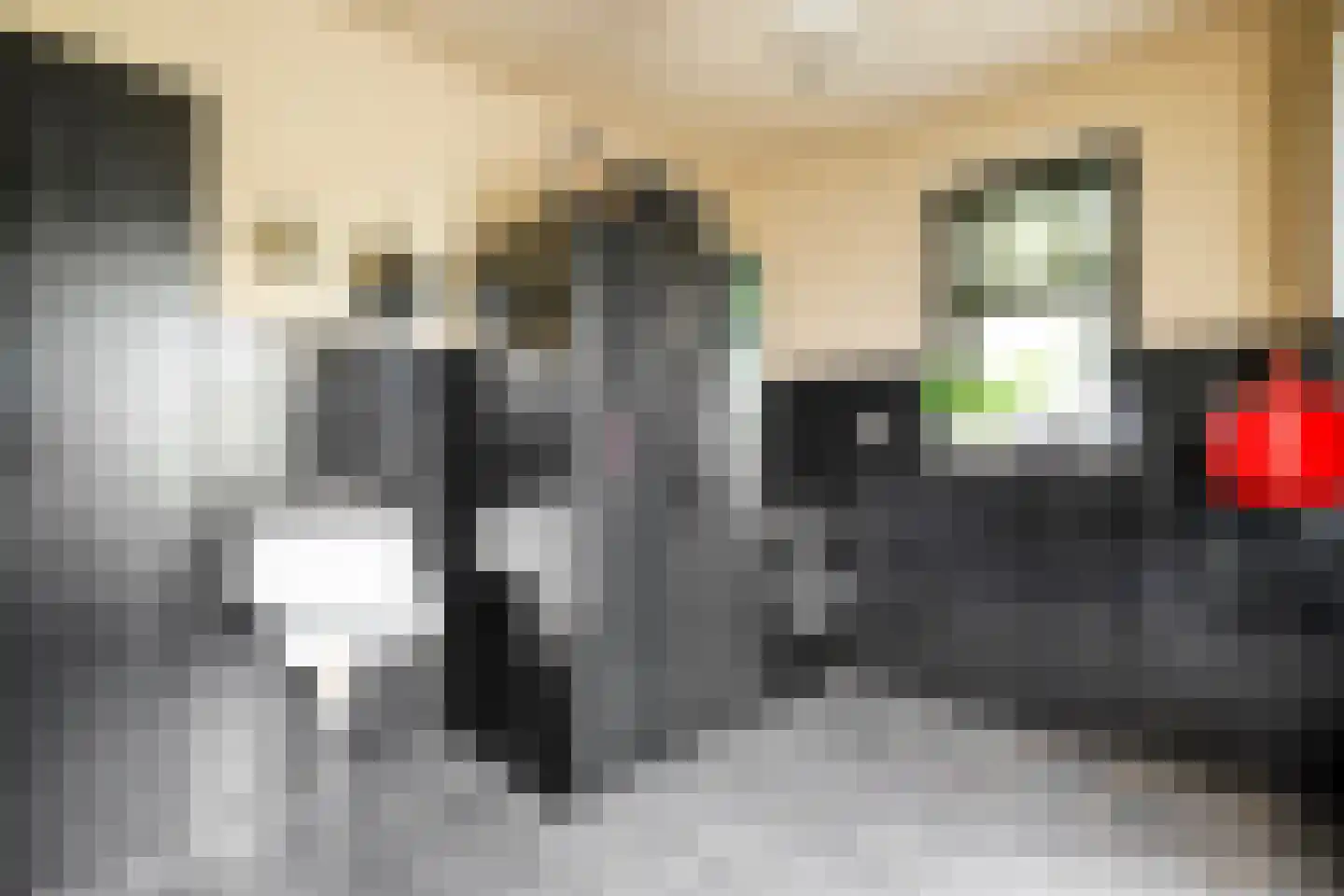 Veneweg 69 Wanneperveen thumbnail 13