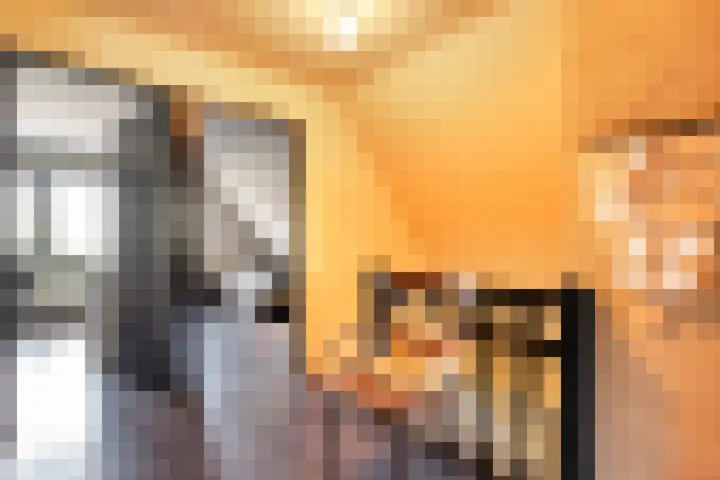 Veneweg 69 Wanneperveen thumbnail 18