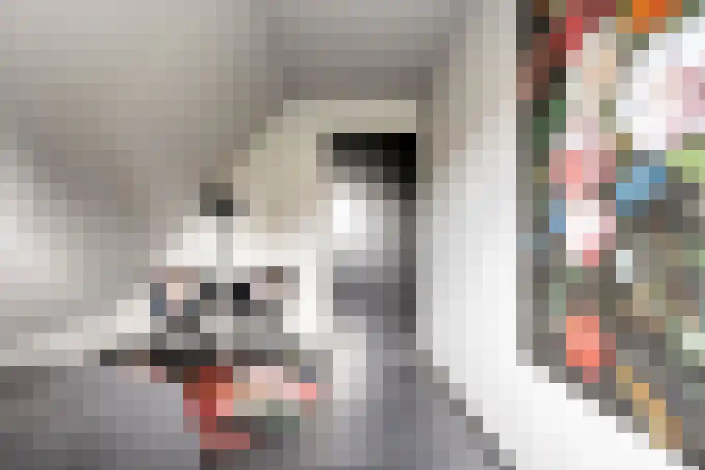 Veneweg 69 Wanneperveen thumbnail 25