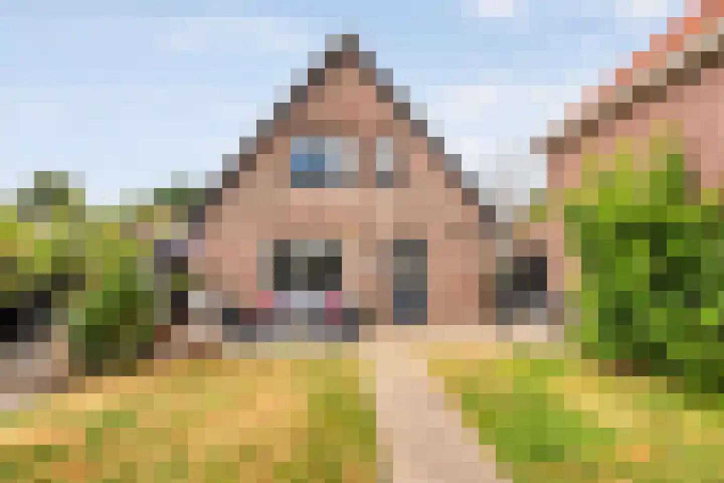 Veneweg 69 Wanneperveen thumbnail 38