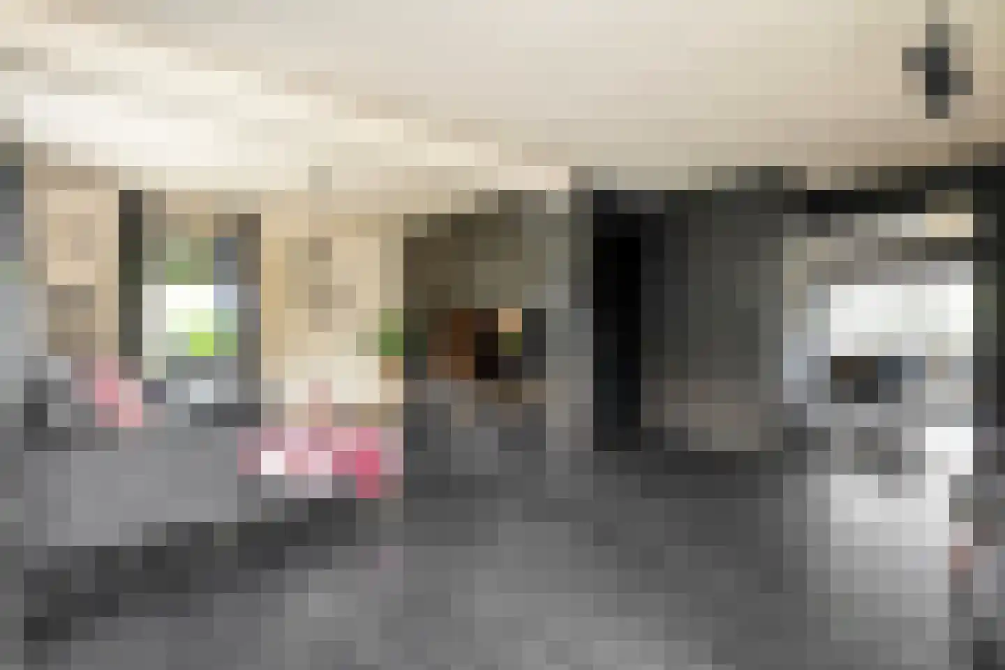 Veneweg 69 Wanneperveen thumbnail 5