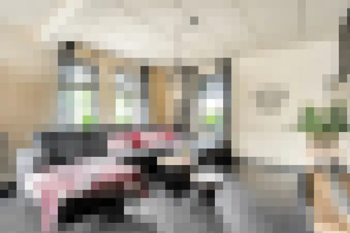 Veneweg 69 Wanneperveen thumbnail 6