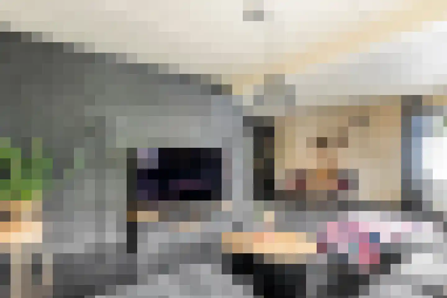 Veneweg 69 Wanneperveen thumbnail 8