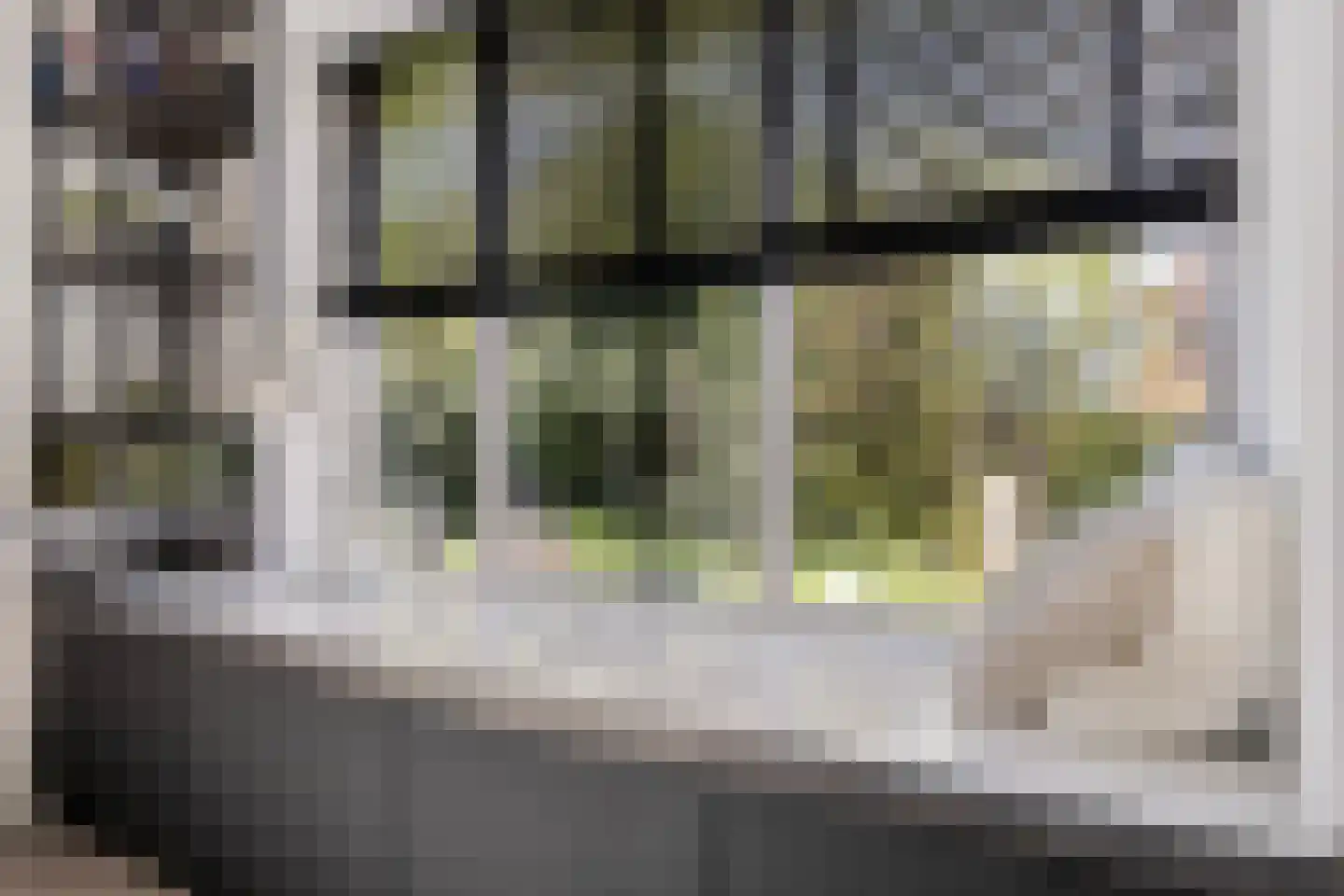 Veneweg 77 Wanneperveen thumbnail 18