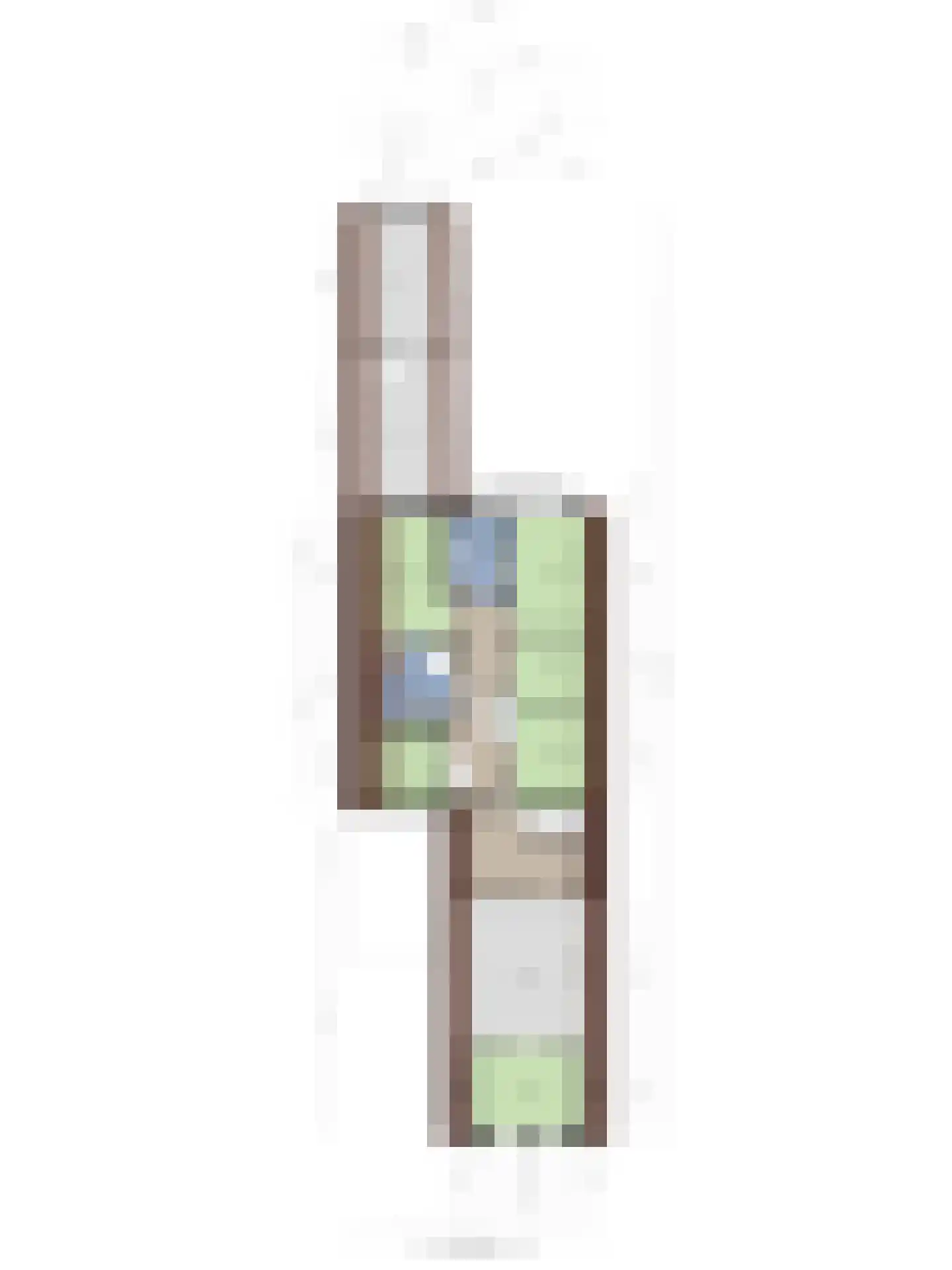 Veneweg 77 Wanneperveen thumbnail 80