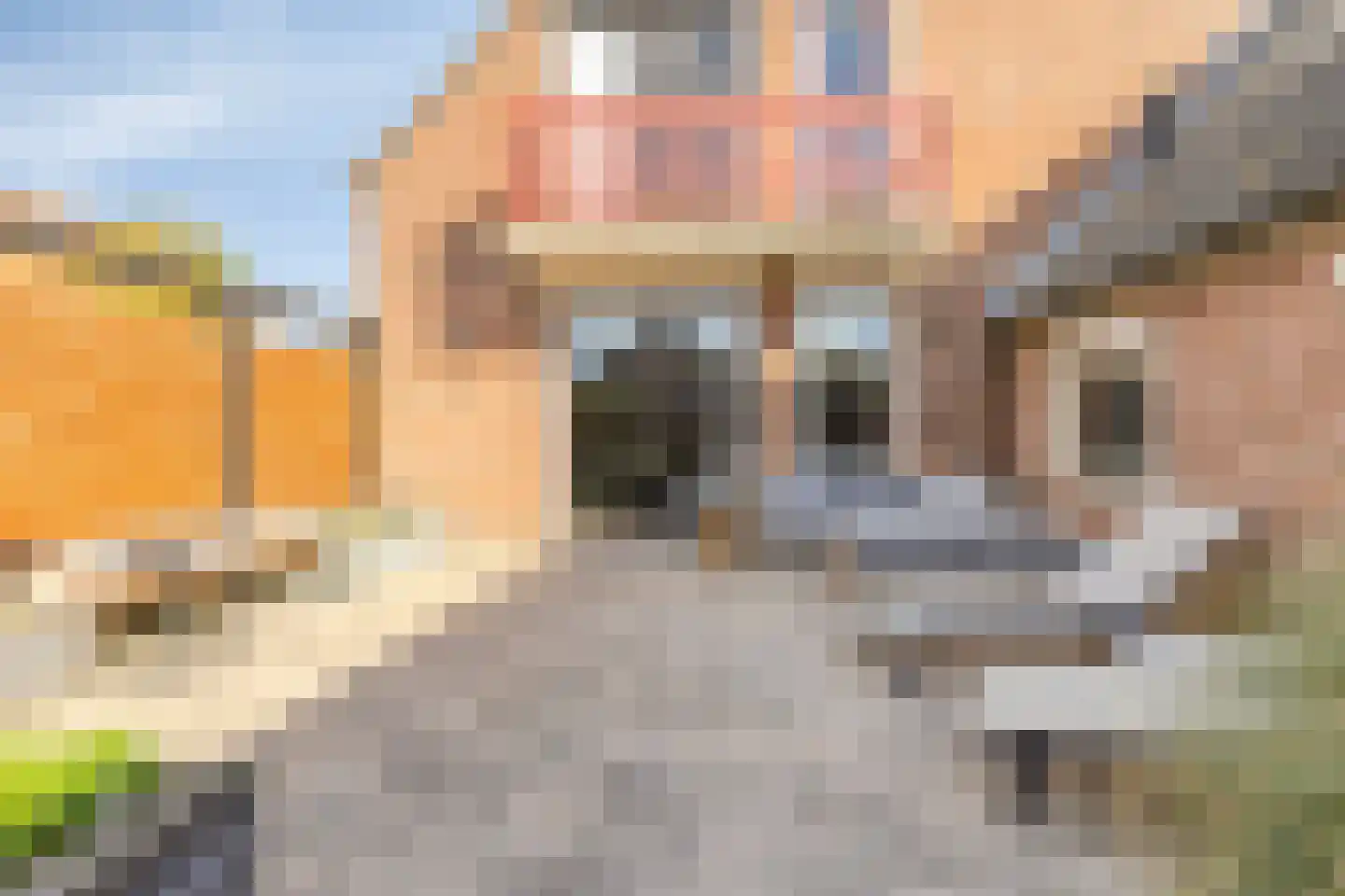 Veneweg 77 Wanneperveen thumbnail 9