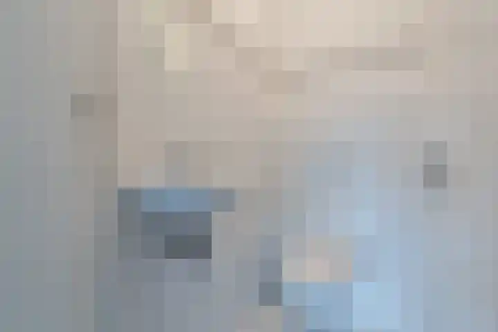 Veneweg 79 Wanneperveen thumbnail 17