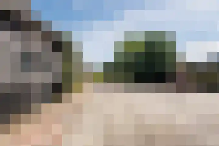 Veneweg 79 Wanneperveen thumbnail 32