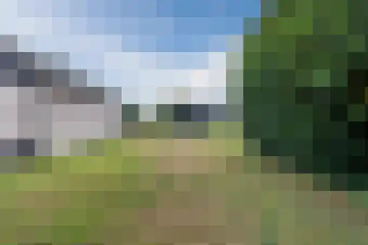 Veneweg 79 Wanneperveen thumbnail 33