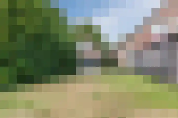 Veneweg 79 Wanneperveen thumbnail 35